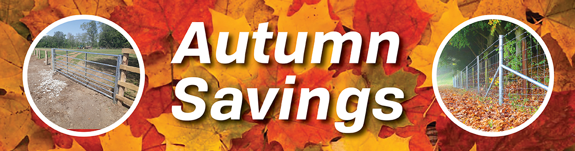 Autumn Savings