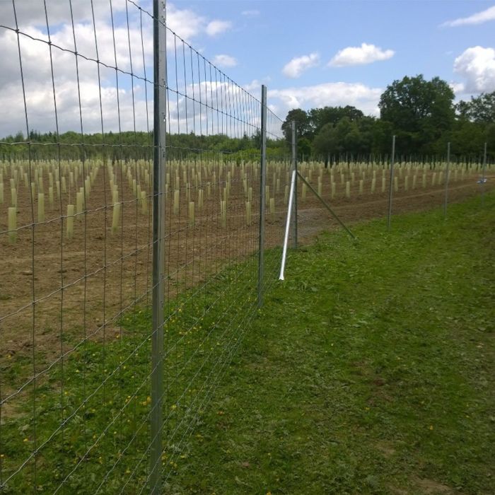 Triple X 1000m Light Deer Fence Kit