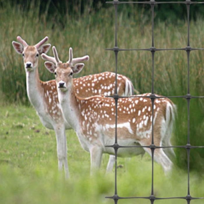 Plastic Deer Fence 100m