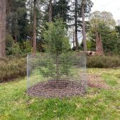 Welded Mesh Galvanised