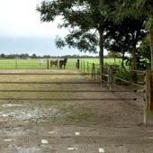 Multi Strand Gate Kit