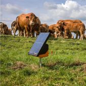 Gallagher S200 Solar Fence Energiser incl. 2 batteries (2x12V)