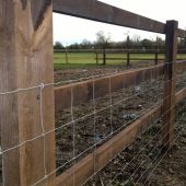 Creosoted Sawn Post and Rail