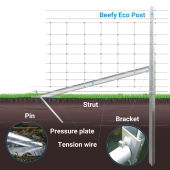 Clipex® Eco Strainer