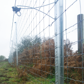 Offset Wire Type - Pinlock Insulator (25)