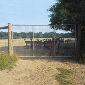 Fully Meshed Deer Gate