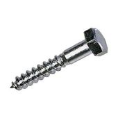 Coach Screws