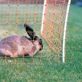 Rabbit Electric Netting - 50m roll