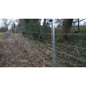 High Tensile Line Wire
