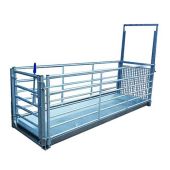 Sheep Stand in Footbath