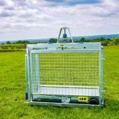 Digital Lamb Weigher