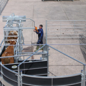 Rotex Semi-Circular Forcing System