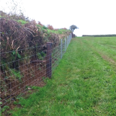 Triple X 1000m Lamb Friendly Value Fencing Kit