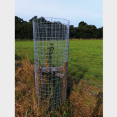 Welded Mesh PVC Coated