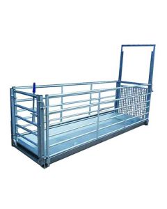 Sheep Stand in Footbath