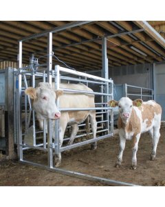 Calving Hurdle Deluxe