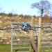 Gripple Barbed Joiner
