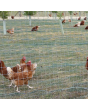Poultry Ground Protection Mesh
