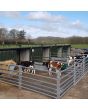 Clipex Sheep Hurdles