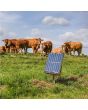 Gallagher S200 Solar Fence Energiser incl. 2 batteries (2x12V)