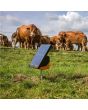 Gallagher S200 Solar Fence Energiser incl. 2 batteries (2x12V)