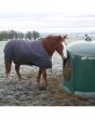 JFC Horse Haybell 