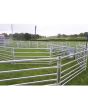 Clipex Sheep Hurdles
