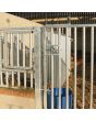 Bull Pen