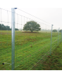 Offset Wire Type - Pinlock Insulator (25)