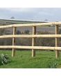 Stakes 110mm Half Round 1800mm UC4 machined treated timber