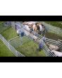 HDX1100 Clipex Cattle Crush