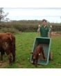 Fixed Body Wheelbarrow