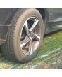 Grass Protection Mesh