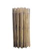 Paling Fencing