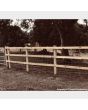 Sawn Posts