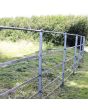 Sterndale fencing