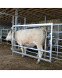 Calving Hurdle Deluxe