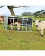 Calf Creep Feeder - Galvanised