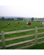 Sawn Post and Rail 