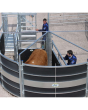 Rotex Semi-Circular Forcing System