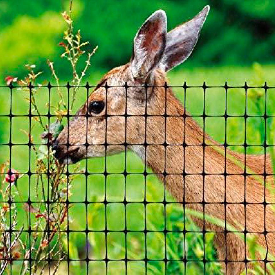 Plastic Deer Fence 100m
