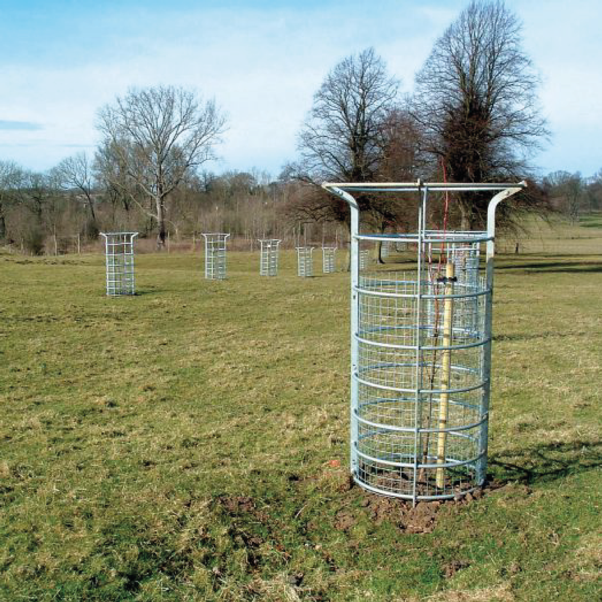 Tree Guards