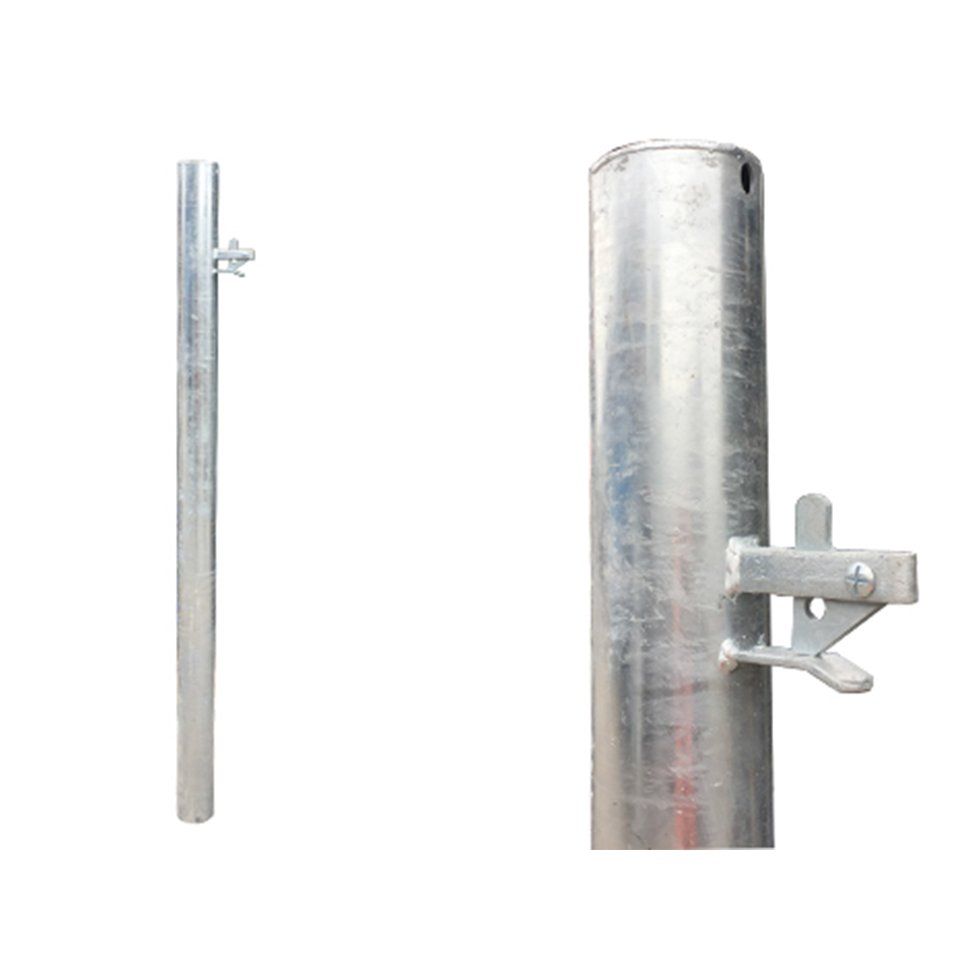 Auto Catch Posts