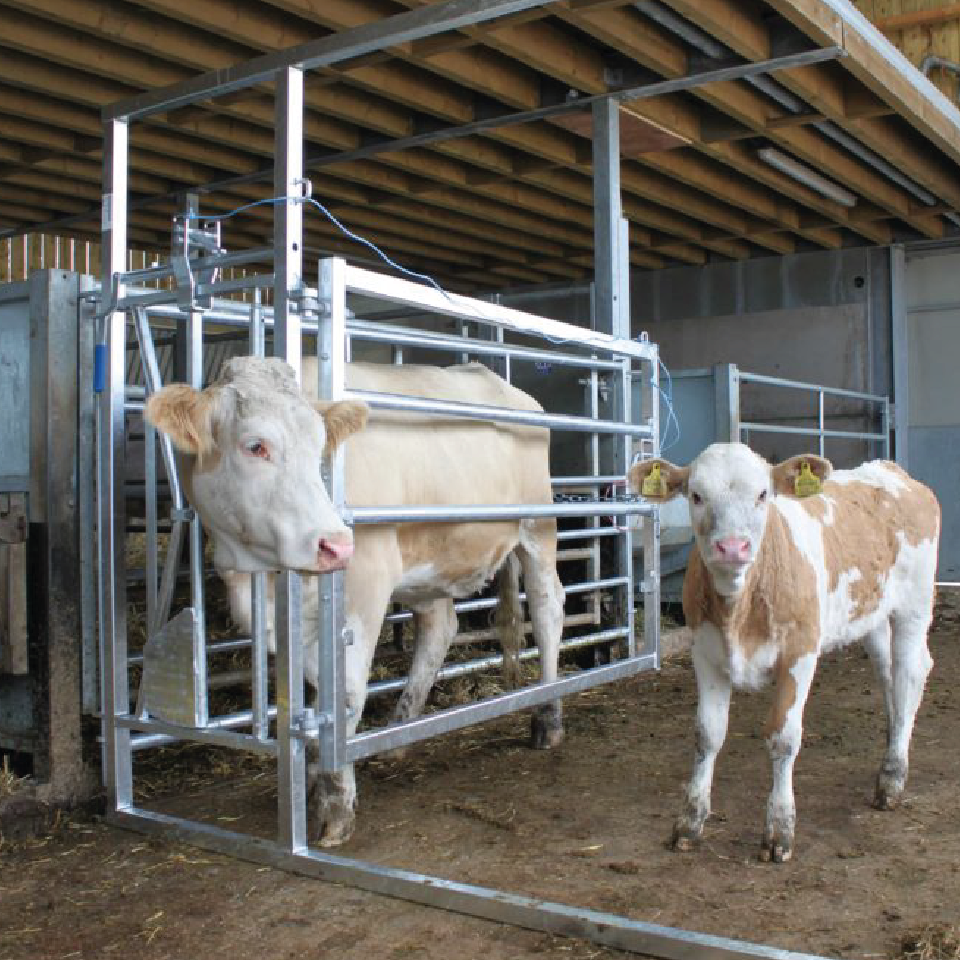 Calving Hurdle Deluxe