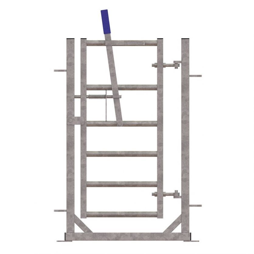 Swing Gate in Frame