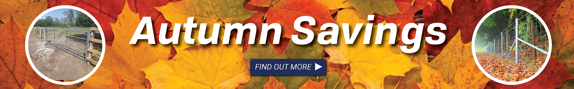 autumn savings
