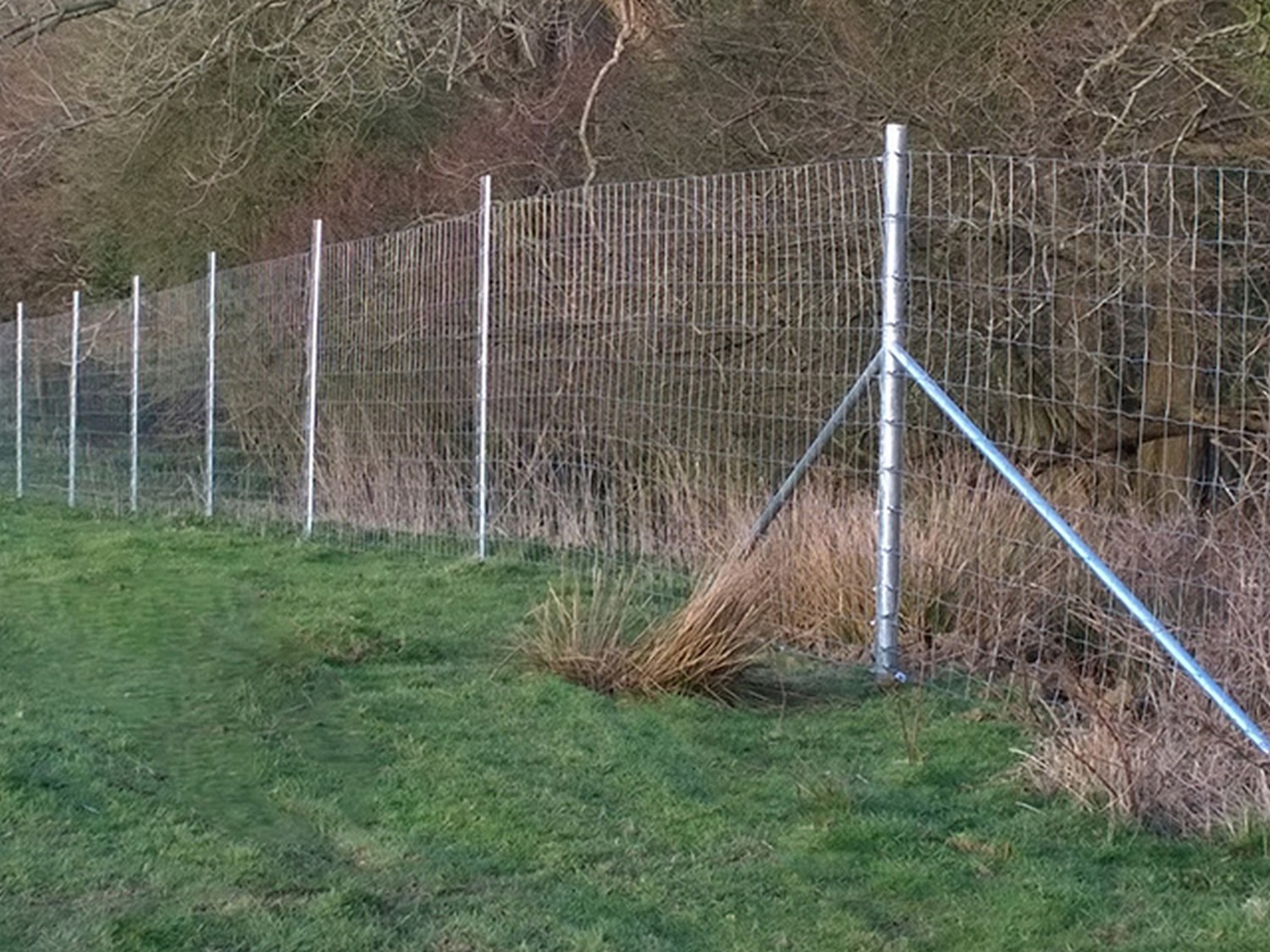 Deer Fencing Case Study