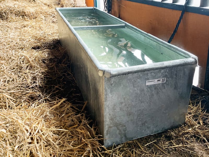 Water management