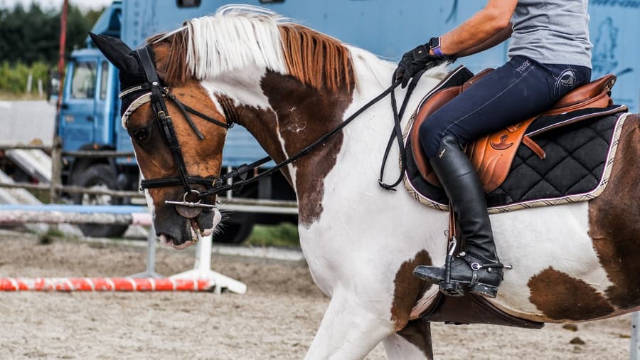 How to build a horse riding arena