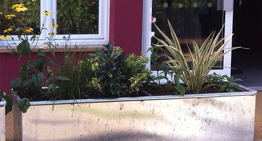 5 Reasons Why A Steel Trough Makes The Perfect Garden Planter